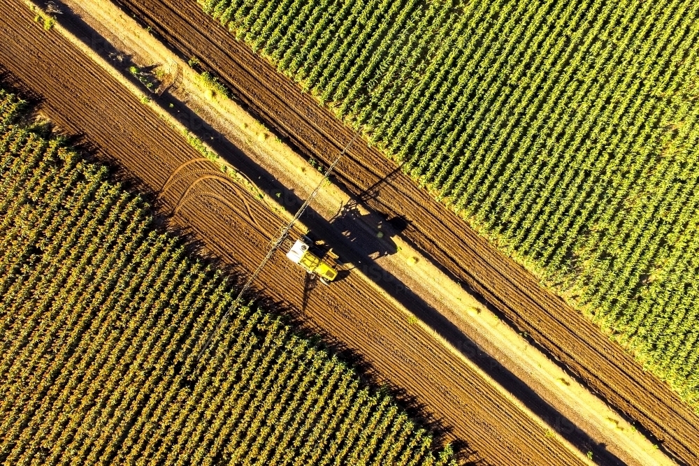 Aerial view of a boom sprayer turning between crops of sorghum - Australian Stock Image