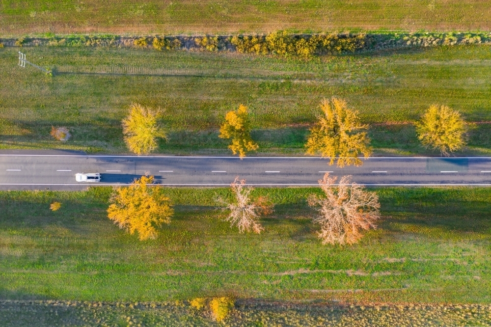 Aerial view of a car on a country road between an avenue of Autumn trees - Australian Stock Image
