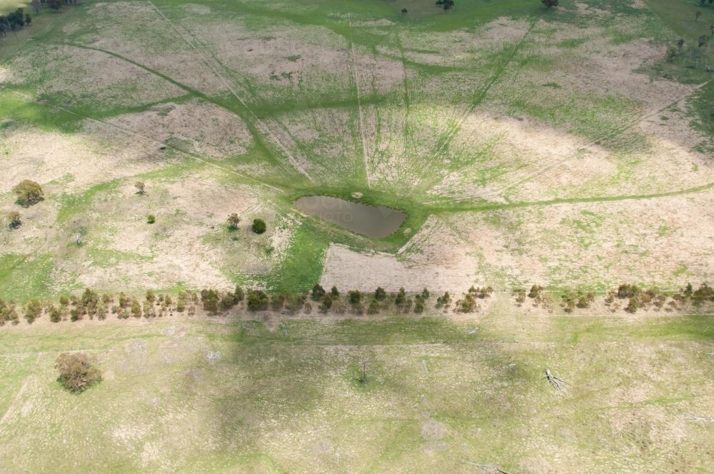 Aerial view of a country dam with stock tracks radiating out - Australian Stock Image