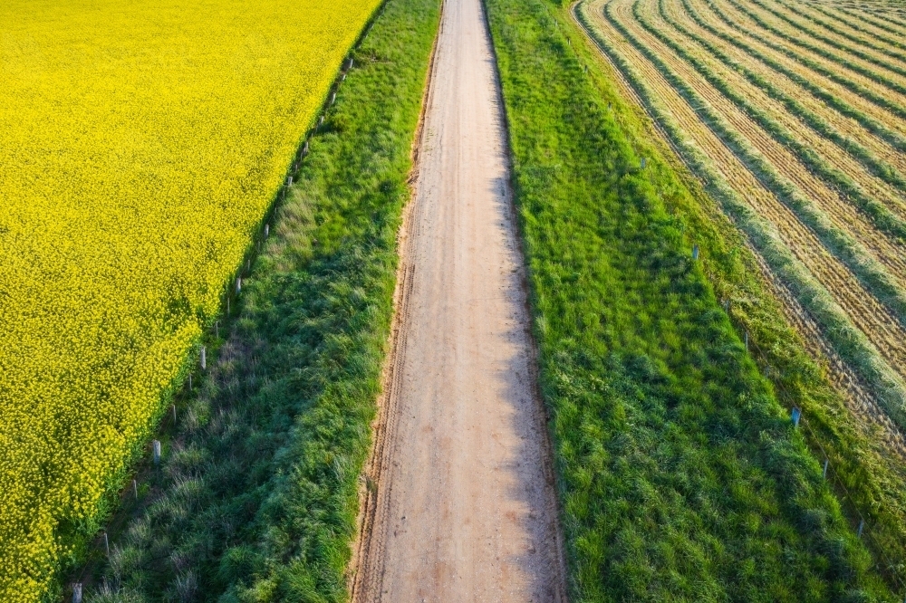 Aerial view of a dirt road running between a yellow canola crop and lush green grass - Australian Stock Image