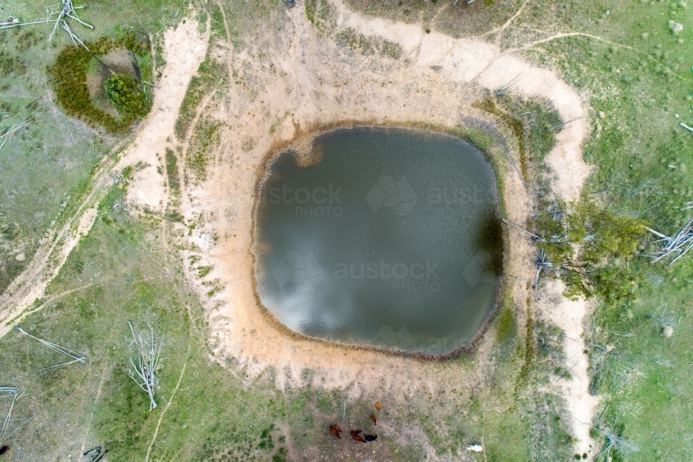 Aerial view of a farm dam. - Australian Stock Image