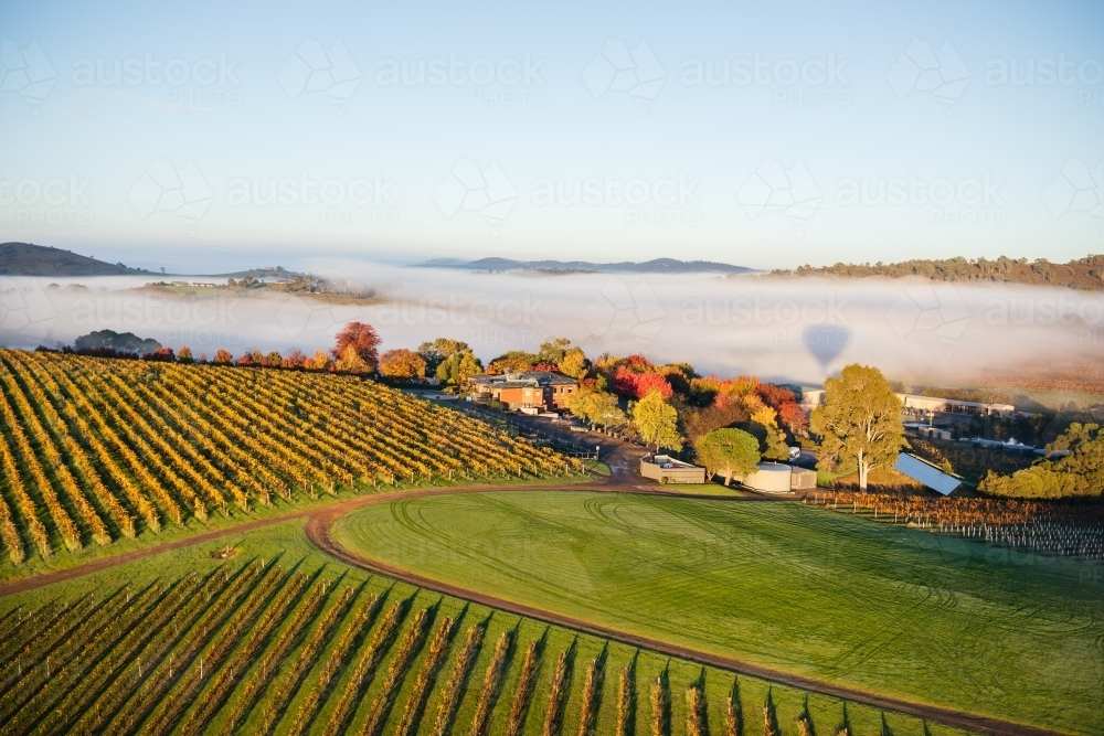 Aerial view of a farmland with multiple fields that has shades of green and yellow suggesting autumn - Australian Stock Image