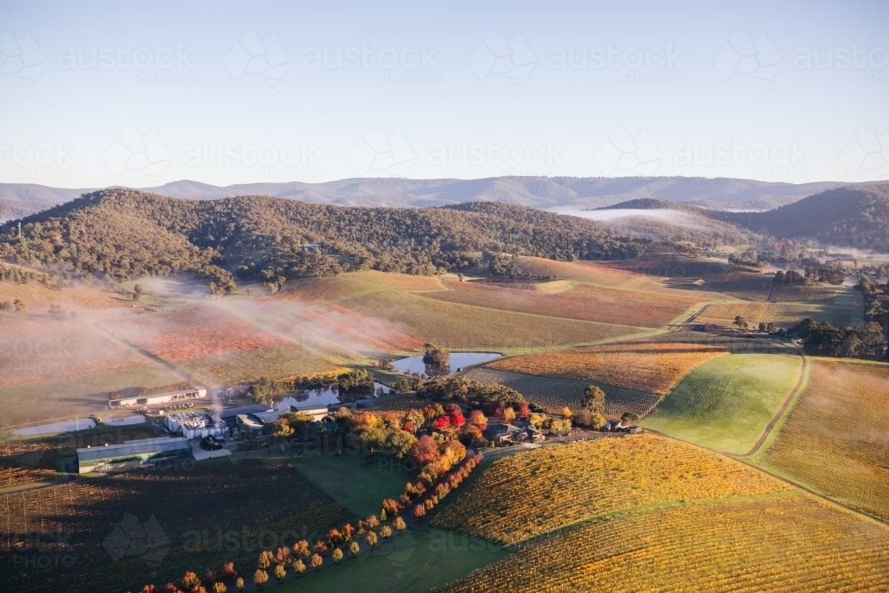 Aerial view of a farmland with multiple fields that has shades of green and yellow suggesting autumn - Australian Stock Image