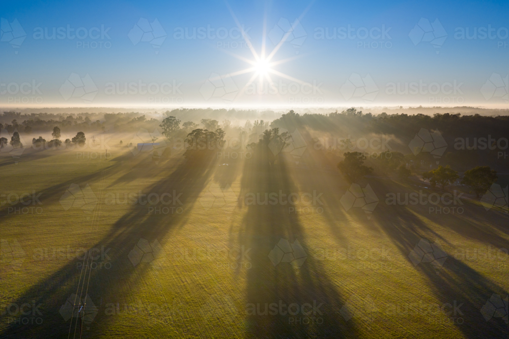 Aerial view of a foggy sunrise with gum trees casting long shadows over farmland at Moama - Australian Stock Image
