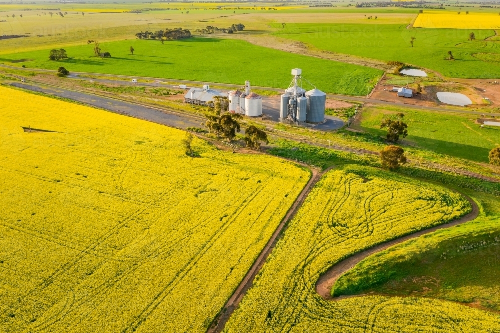 Aerial view of a grain silo along side a canola fields - Australian Stock Image