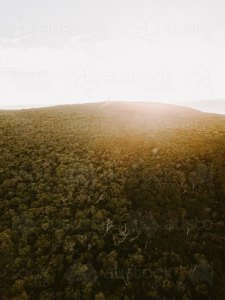 Aerial view of a hill covered in trees at sunset - Australian Stock Image