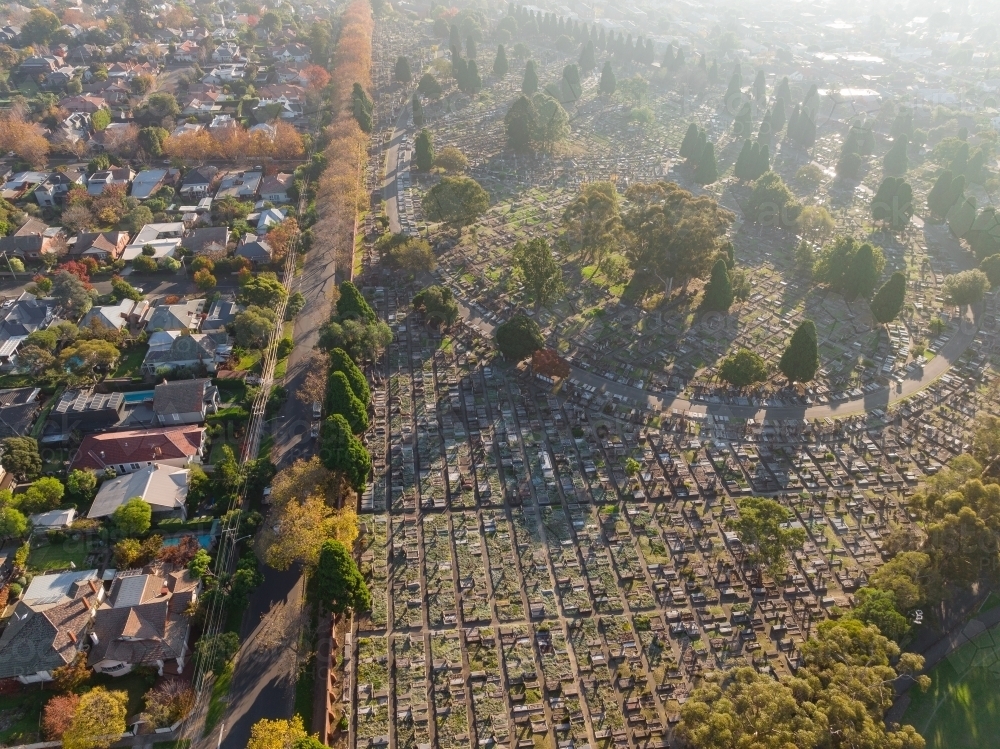 Aerial view of a large tree lined suburban cemetery - Australian Stock Image