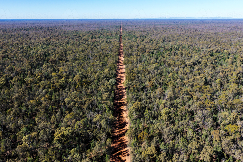Aerial view of a long straight dirt road stretching through the Pilliga Forest towards the horizon - Australian Stock Image
