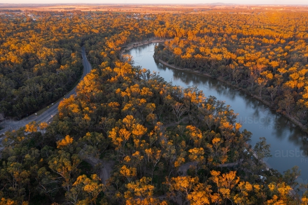 Image of Aerial view of a river winding through a forest highlighted by ...