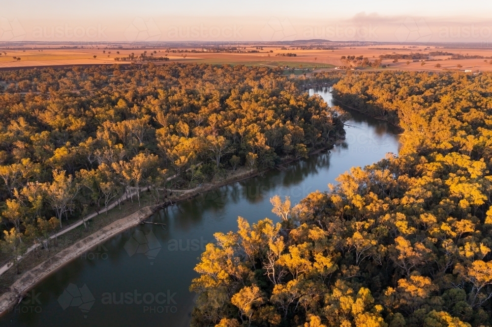 Aerial view of a river winding through a forest highlighted by late afternoon lighting - Australian Stock Image
