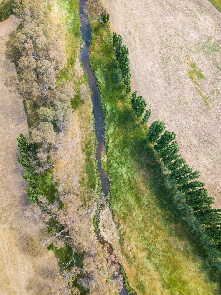 Image of Aerial view of a river with green grass and trees lining its ...