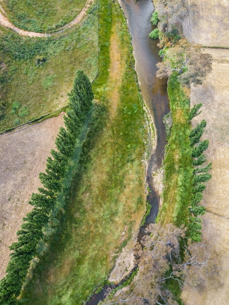 Image of Aerial view of a river with green grass and trees lining its ...