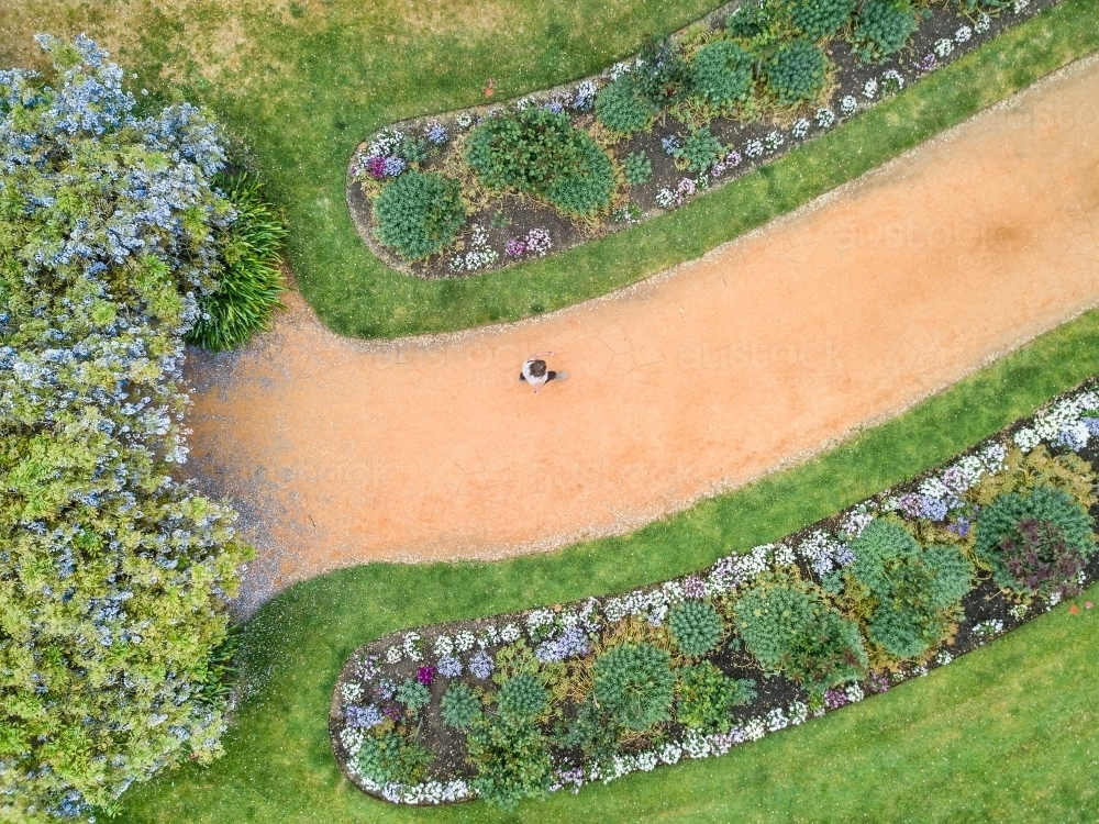 Image of Aerial view of a runner on a garden path lined with flower