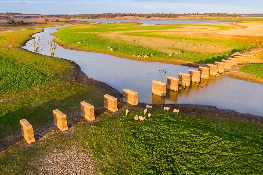 Aerial view of a sheep around a row of brick pillars crossing river - Australian Stock Image