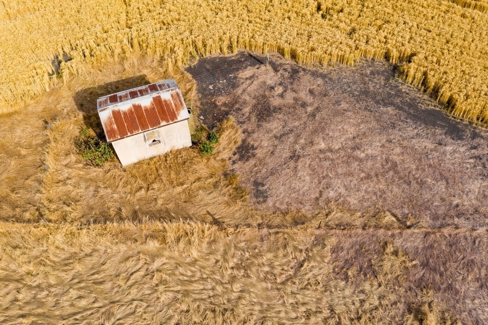 Aerial view of a small cottage amid grain crops - Australian Stock Image