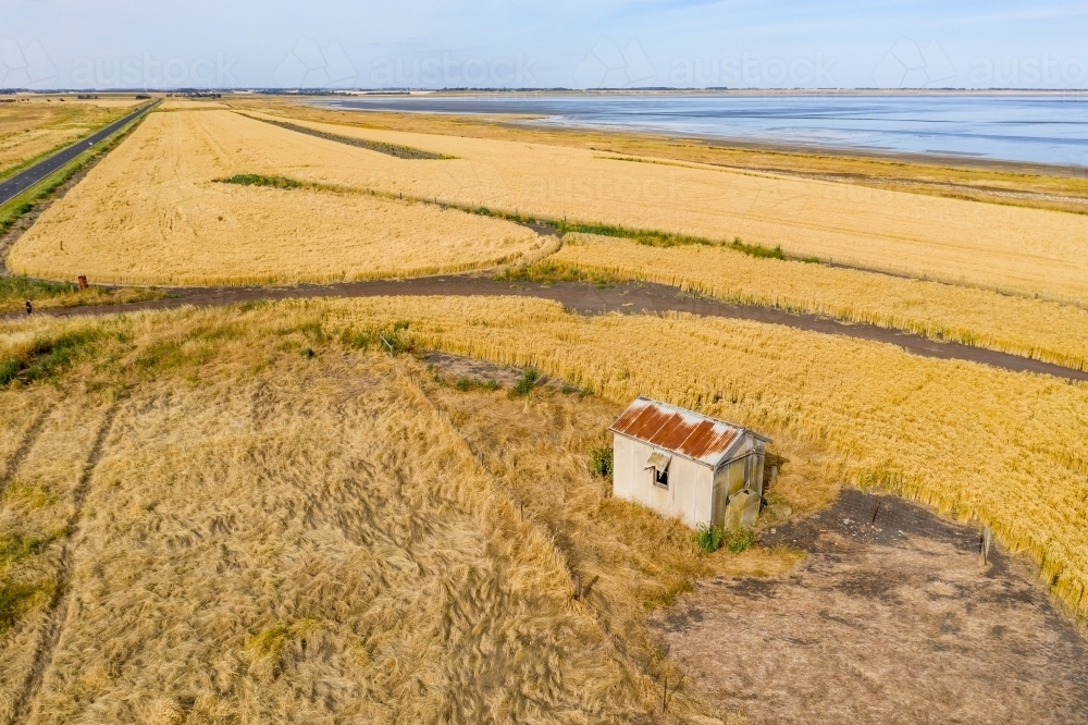 Aerial view of a small cottage amongst grain crops on the shore of a salt - Australian Stock Image