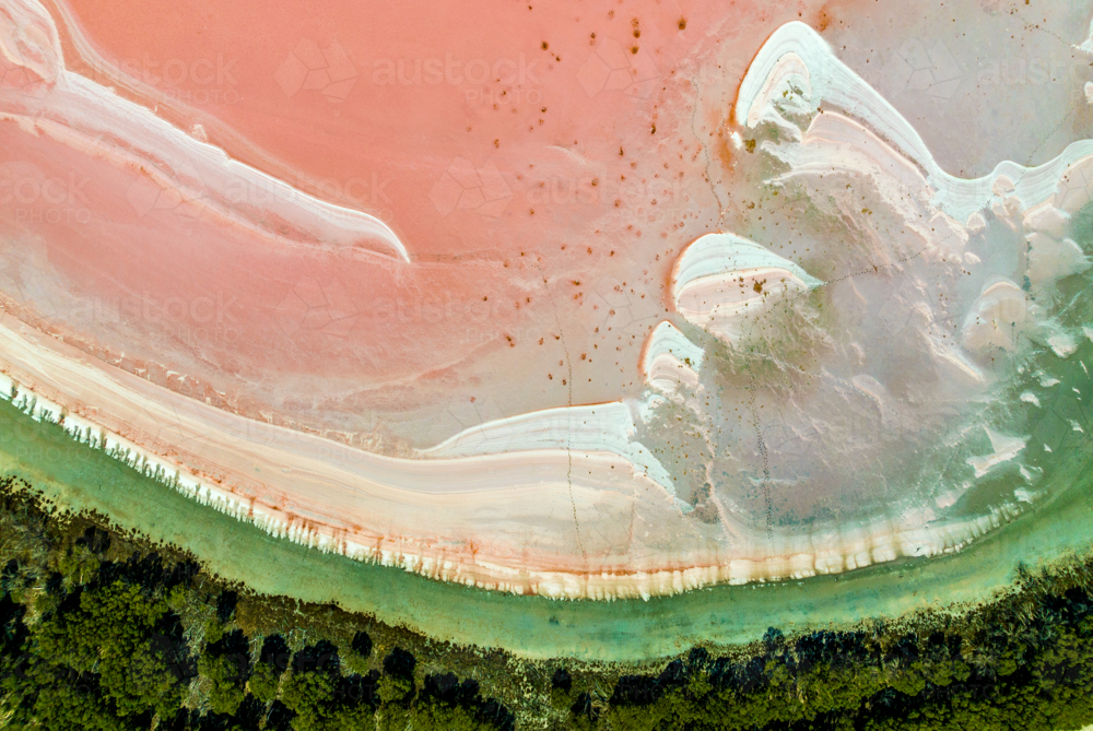 Aerial view of a striking pink salt lake with vivid mineral patterns and surrounding vegetation - Australian Stock Image