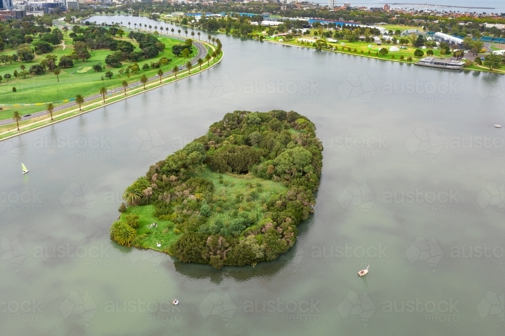 Aerial view of a tree covered island in the middle of a city lake - Australian Stock Image
