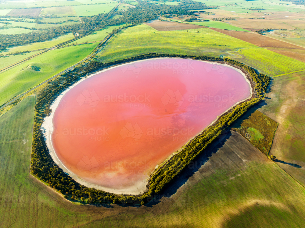 Aerial view of a vibrant pink lake surrounded by green and brown farmland. - Australian Stock Image