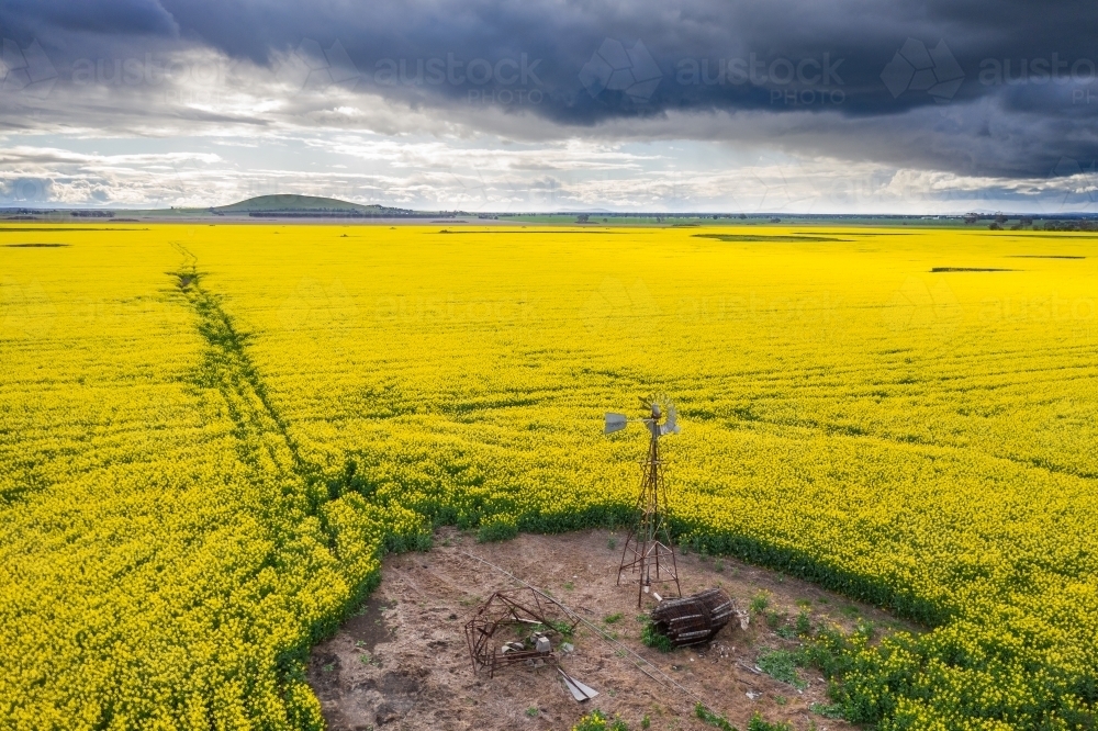 Aerial view of a windmill in a small clearing in a canola field under dark skies - Australian Stock Image