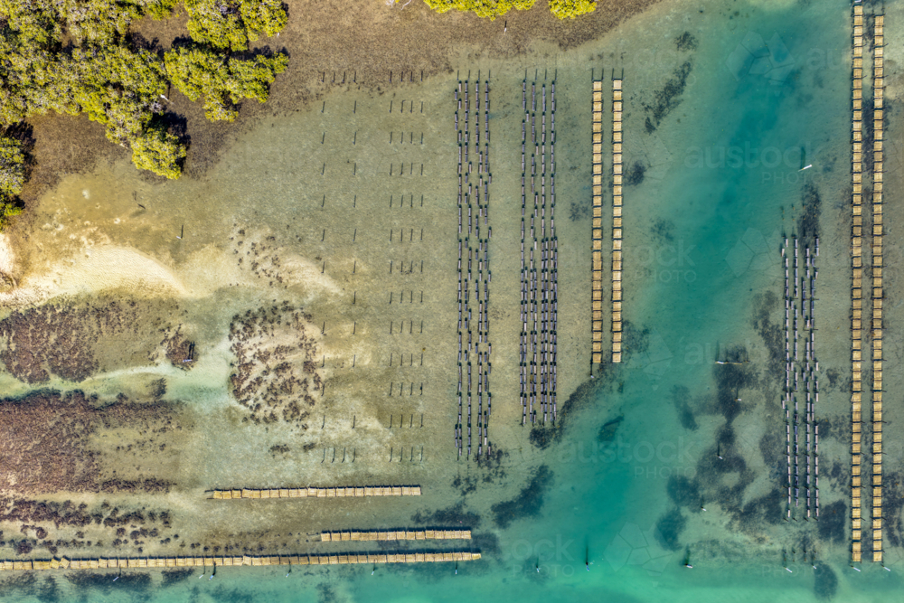 Aerial view of an oyster lease in Tuncurry, showing neatly arranged structures - Australian Stock Image