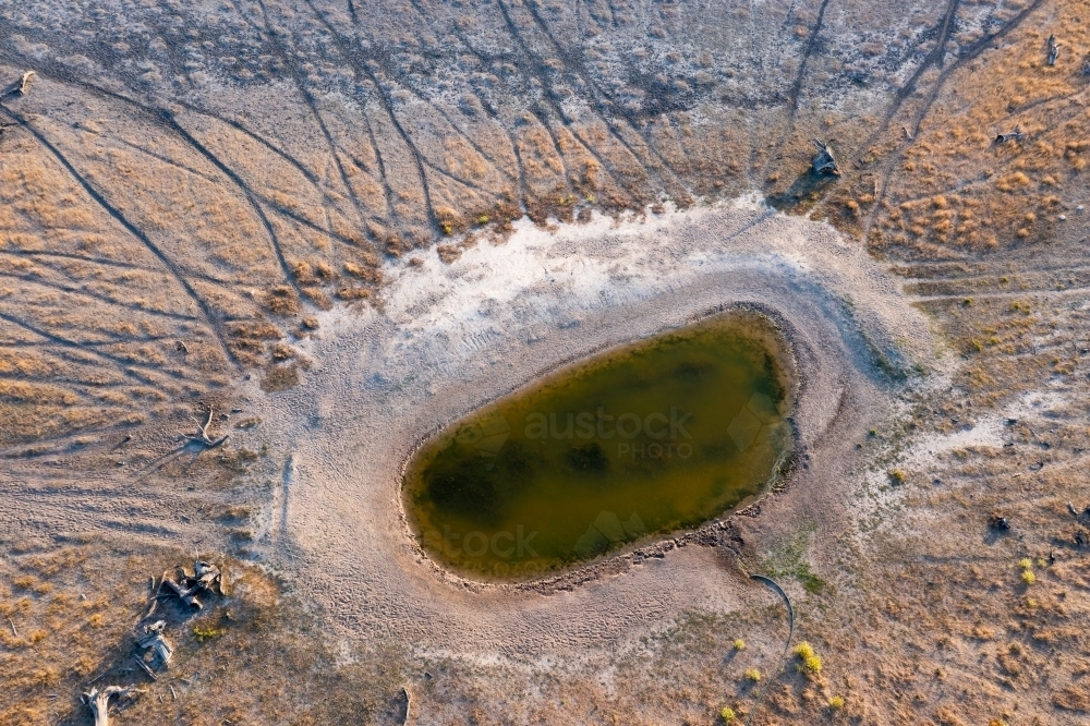 Aerial view of arid farmland with cattle tracks leading to a small waterhole - Australian Stock Image