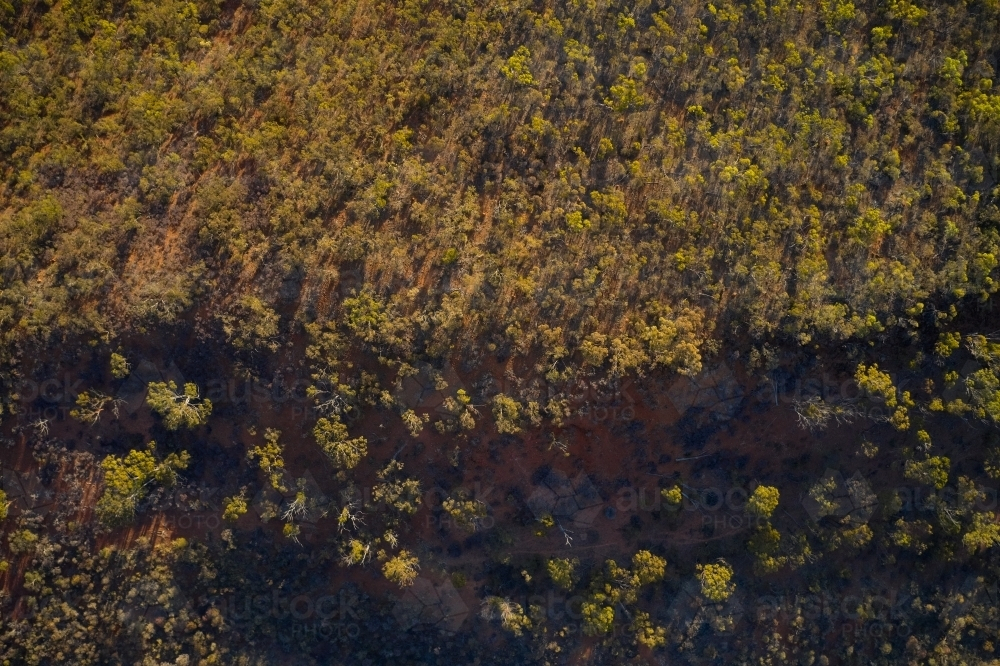 Aerial view of Australian bush on a hill. - Australian Stock Image