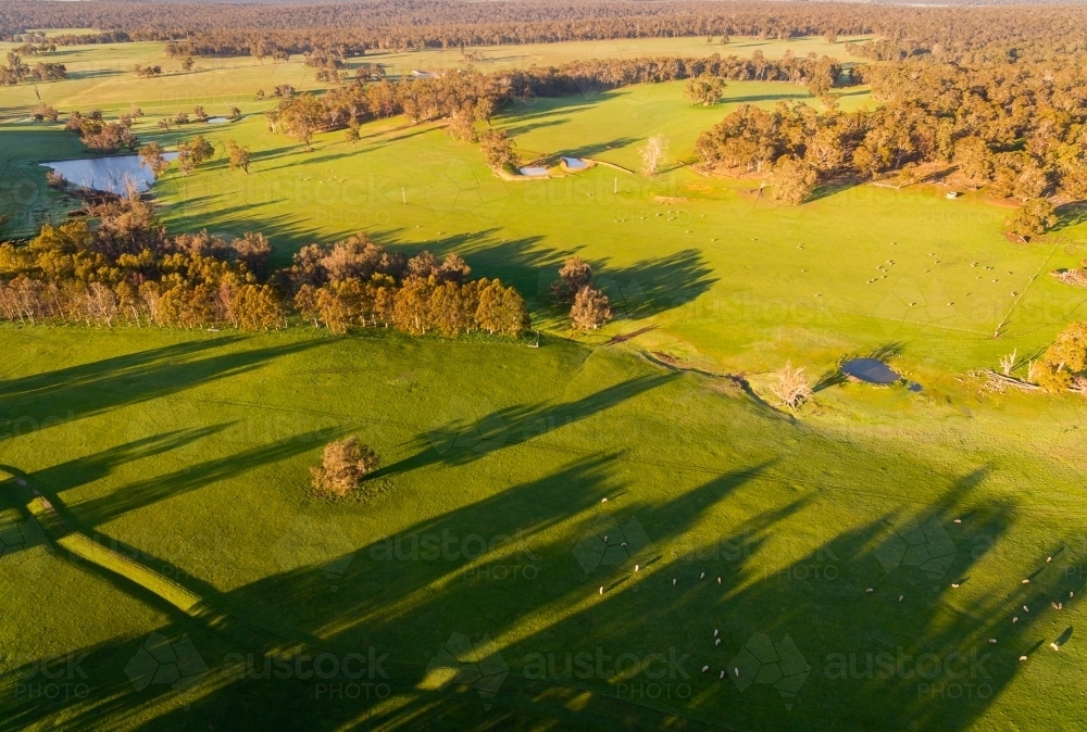 Aerial view of Australian countryside in Spring - Australian Stock Image