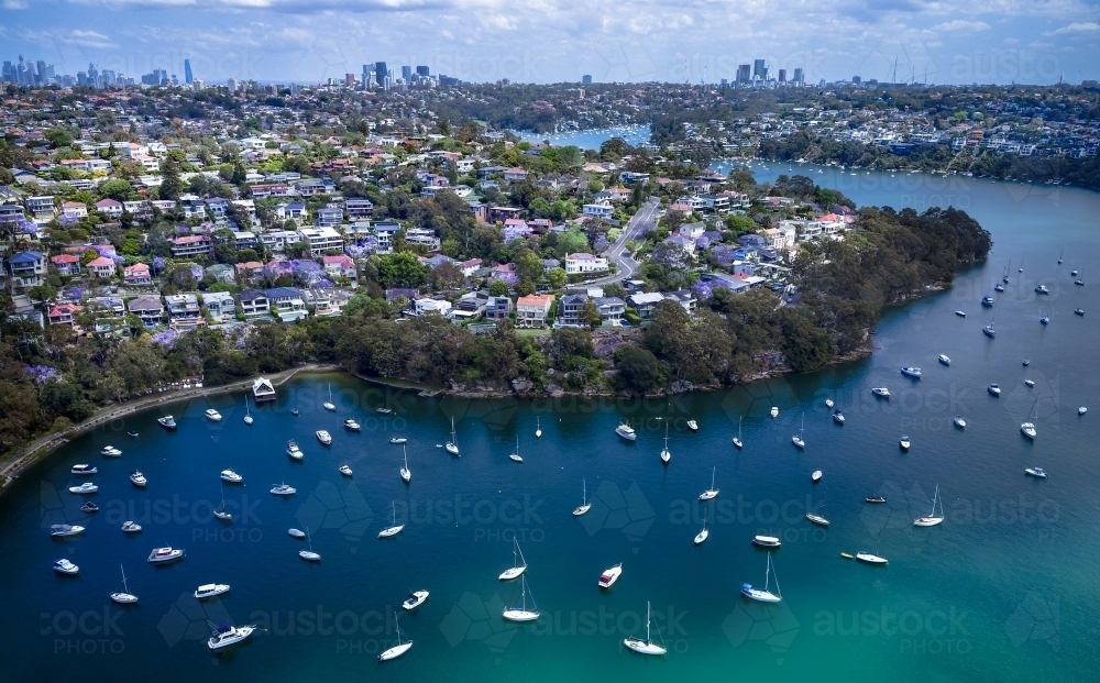 Aerial View of Boats and Surburban Homes - Australian Stock Image