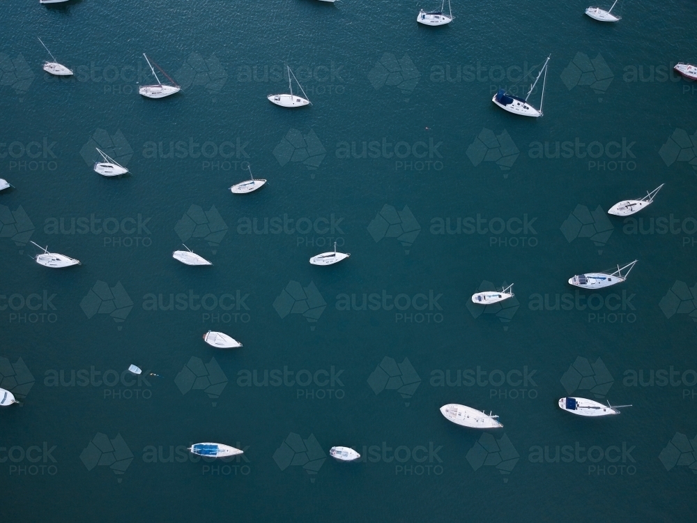 Aerial View of Boats on Lake Macquarie - Australian Stock Image