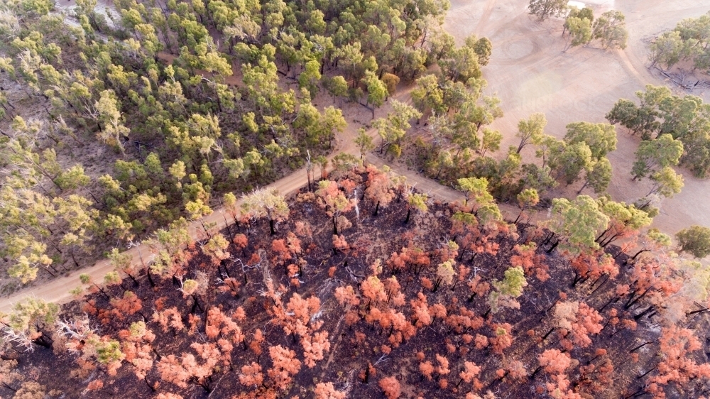 Aerial view of burnt and unburnt areas of forest - Australian Stock Image
