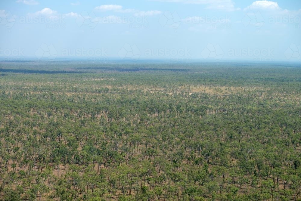 Aerial view of bush over Bees Creek, Northern Terrtiory - Australian Stock Image