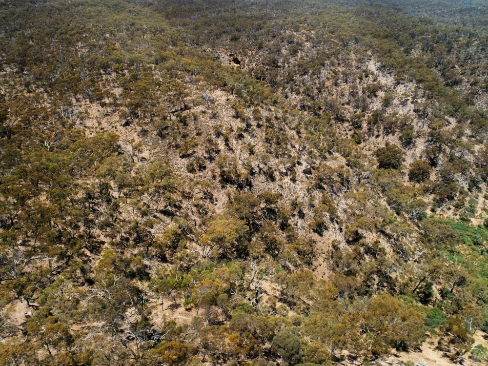 Aerial view of bushland - Australian Stock Image