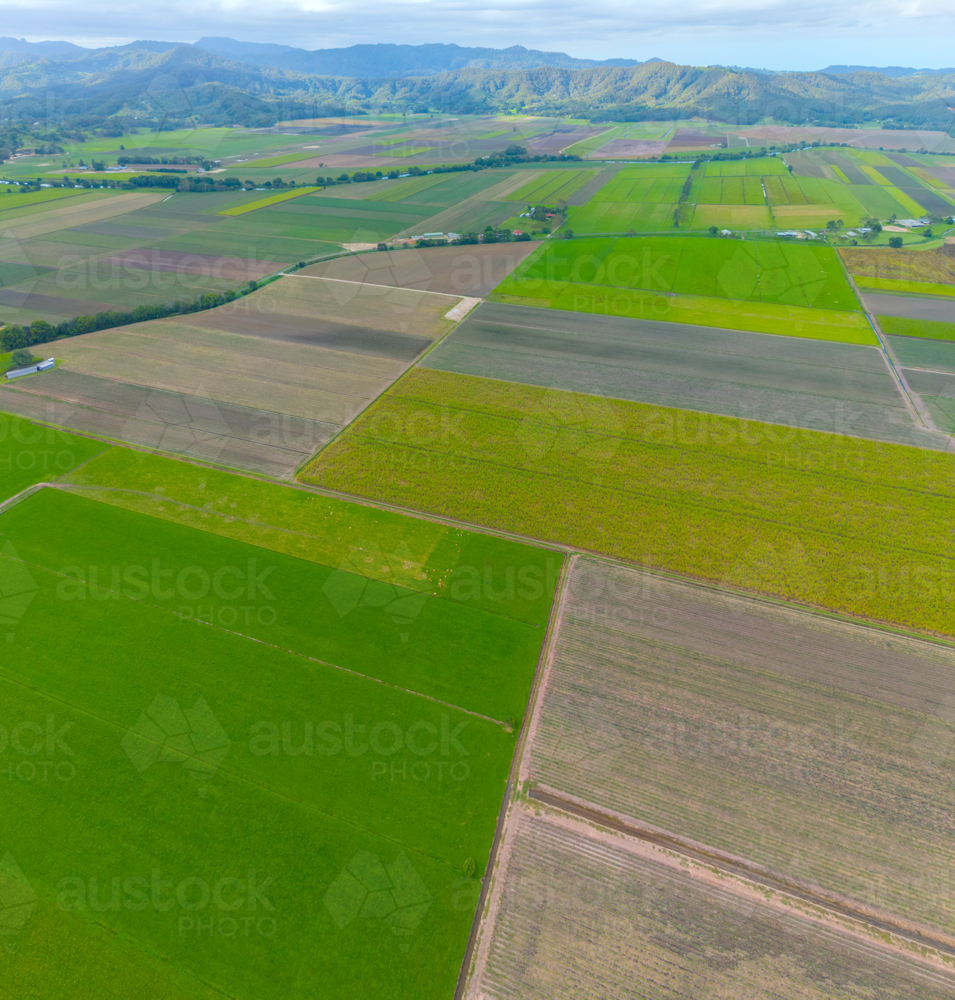Aerial view of Cane farms between Condong and Murwillumbah - Australian Stock Image