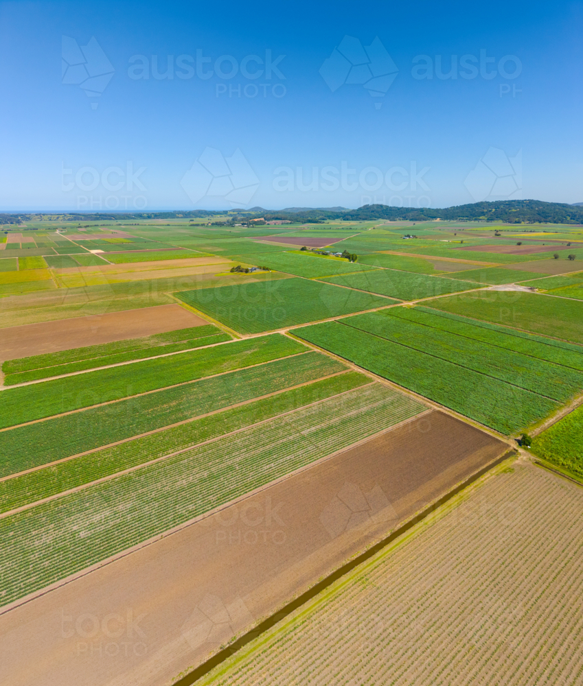 Aerial view of Cane Farms between Condong and Murwillumbah - Australian Stock Image