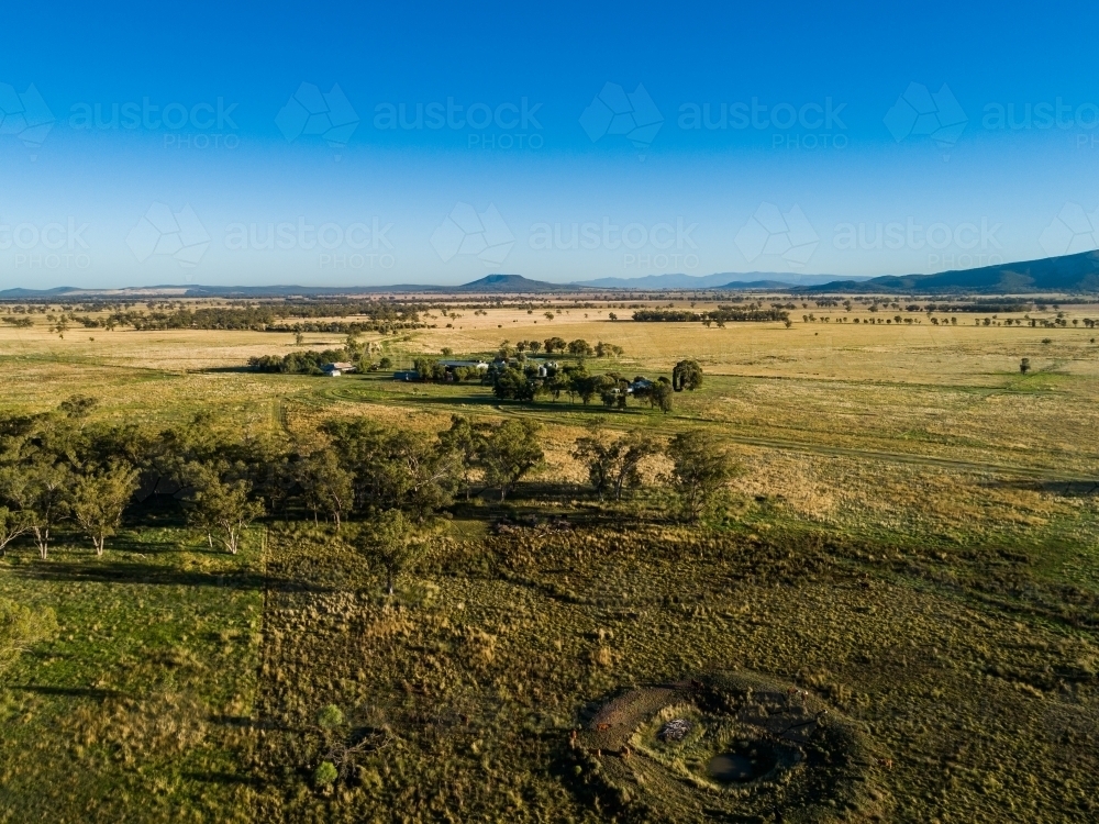 Aerial view of cattle by farm dam with low water level - Australian Stock Image