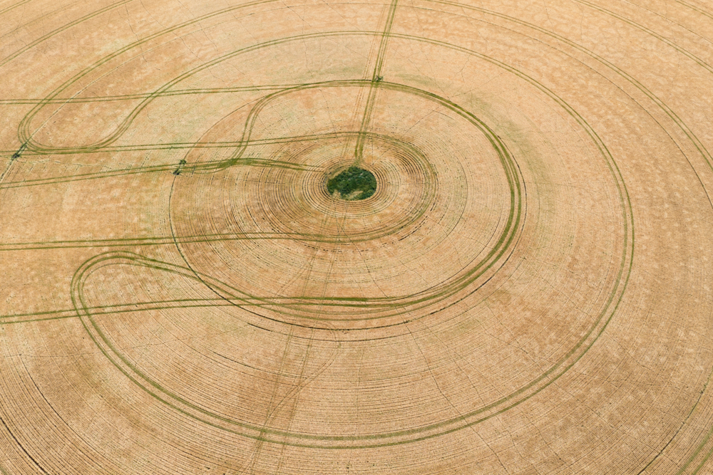 Aerial view of  circular wheel tracks in a farmers drying crop - Australian Stock Image