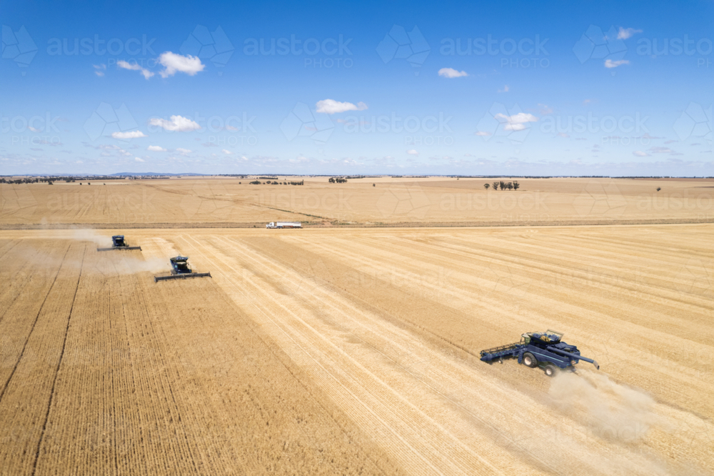 Aerial view of combine harvester in a field - Australian Stock Image