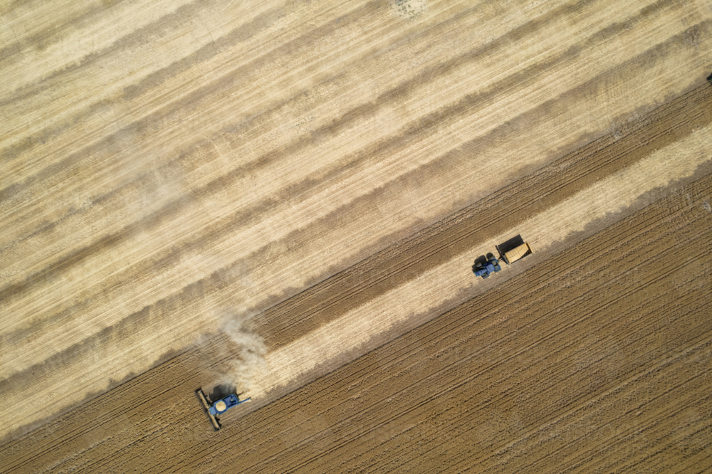 Aerial view of combine harvester in a field - Australian Stock Image
