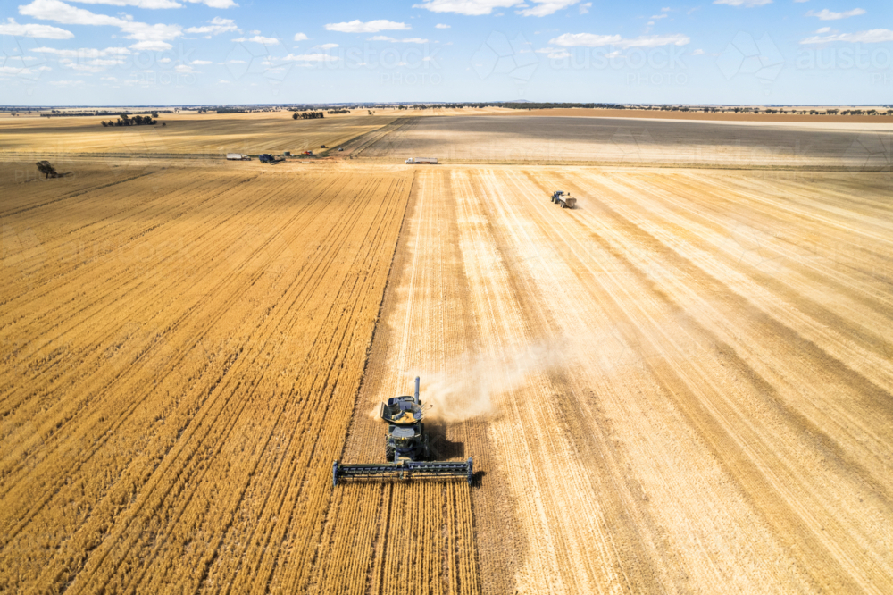 Aerial view of combine harvester in a field - Australian Stock Image