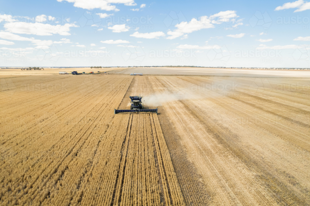 Aerial view of combine harvester in a field - Australian Stock Image