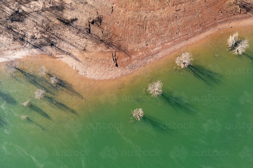 Aerial view of dead trees casting shadows along the shoreline of a lake - Australian Stock Image