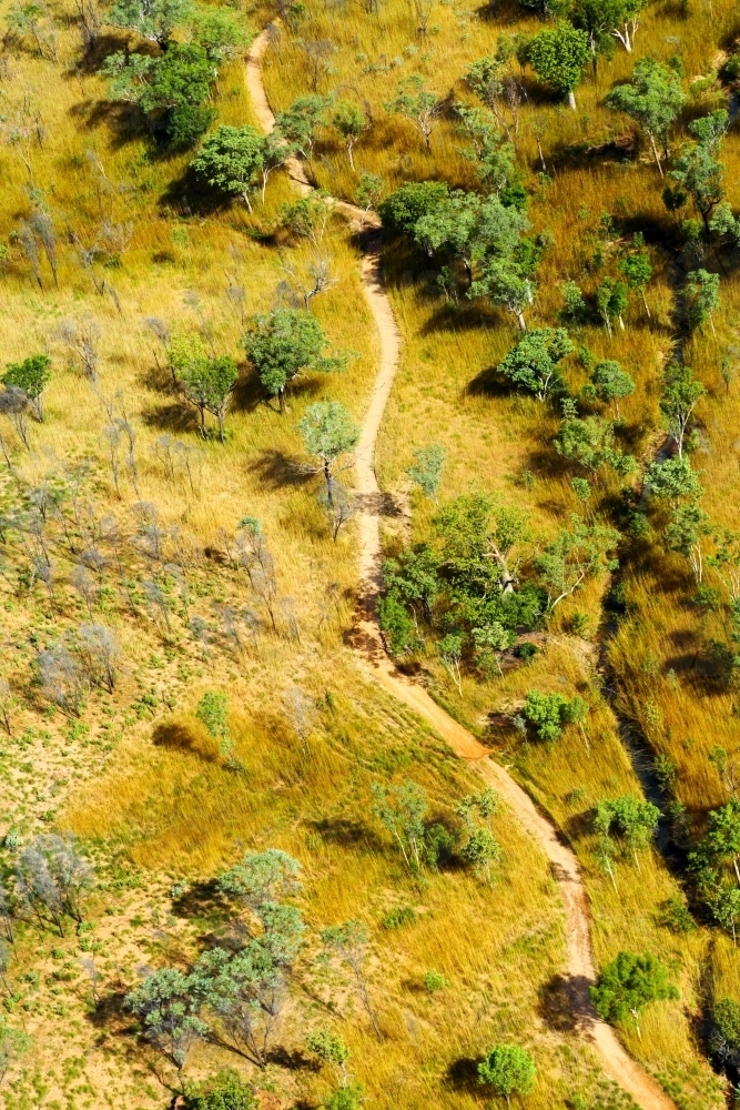 Aerial view of dirt track through the Kimberley savanna grasslands. - Australian Stock Image