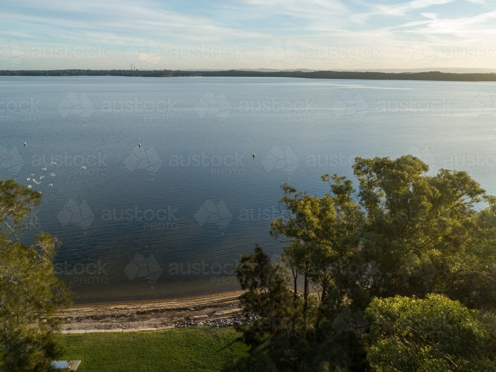 Aerial view of edge of tidal lake with white birds flying through trees - Australian Stock Image