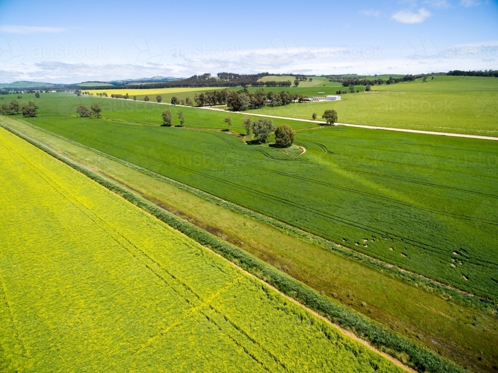 Aerial view of farm with green crops - Australian Stock Image