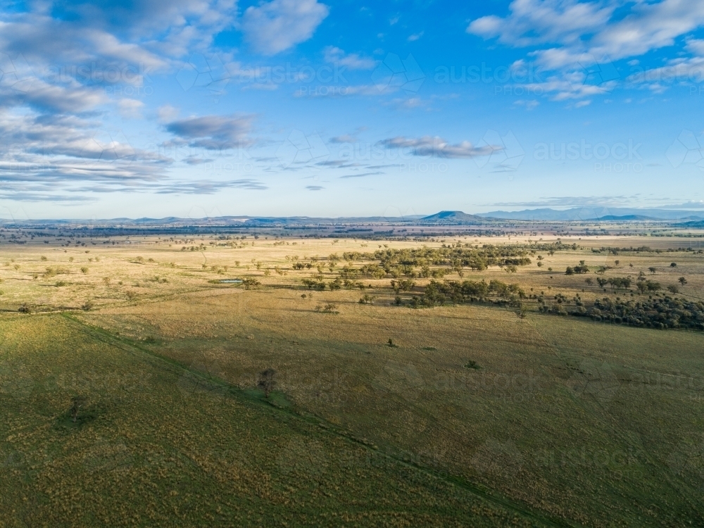 Fram Paddock Image of Aerial view of flat Aussie farm paddock with sunlight on grass ...