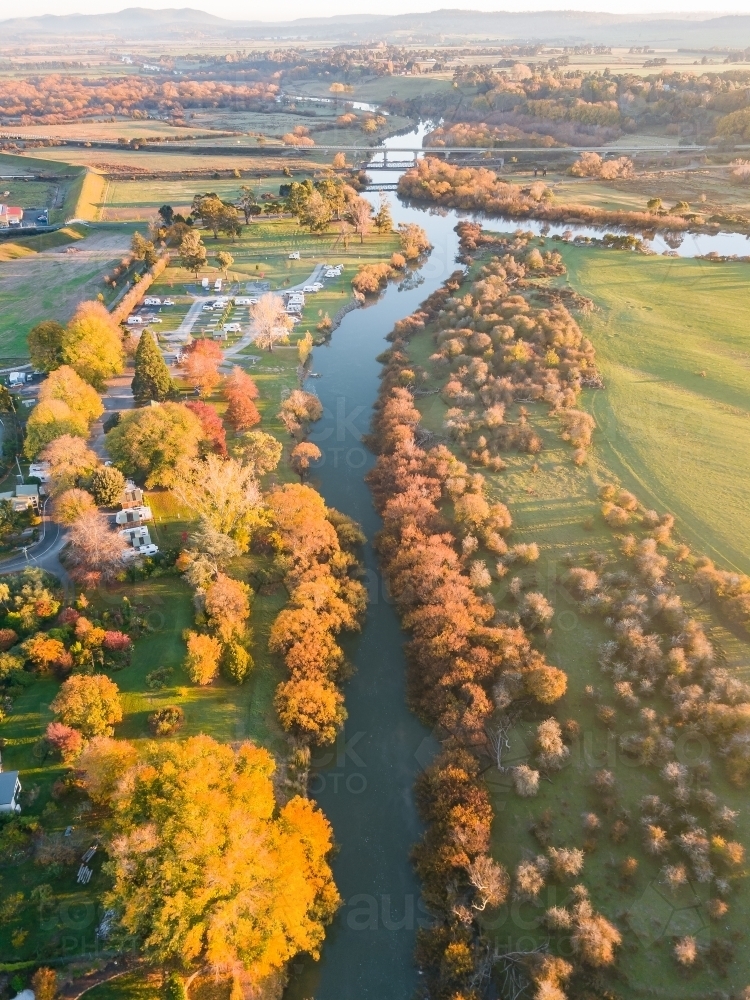 Aerial view of golden trees lining the banks of a river in Autumn - Australian Stock Image
