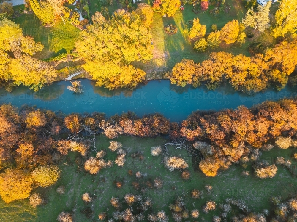 Aerial view of golden trees lining the banks of a river in Autumn - Australian Stock Image