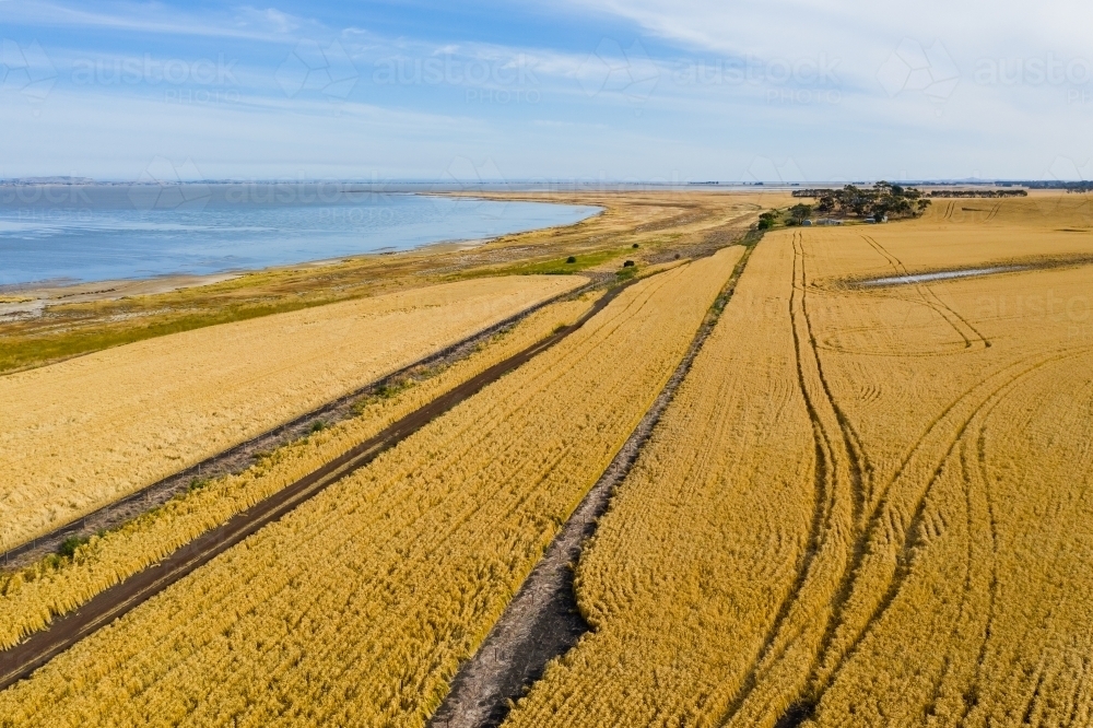 Aerial view of grain crops and farmland next to a salt lakes - Australian Stock Image