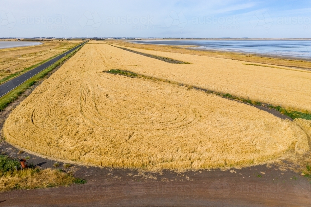 Aerial view of grain crops on farmland between two salt lakes - Australian Stock Image